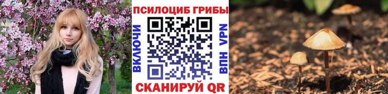 mega tor  Сухой Лог  Псилоцибиновые грибы GOLDEN TEACHER 