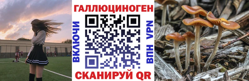 Псилоцибиновые грибы Magic Shrooms Сухой Лог